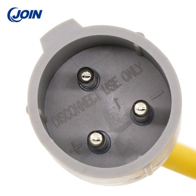 Enchufe del cargador de Powerwise de 48 voltios con el cordón de DC del cable de 130 pulgadas
